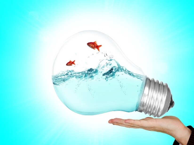 Eine Glühbirne schwebt über einer Hand, darin springen zwei Fische aus dem Wasser. Symbolbild für Ideen und Projekte.
