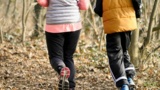 Zwei Personen joggen durch einen Wald.