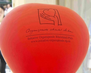 Ein roter Luftballon in Herzform mit der Aufschrift: Organspende schenkt Leben. Initiative Organspende Rheinland-Pfalz und dem Logo eine Hand hält ein Herz.