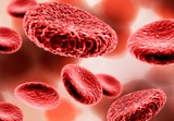 Schematische Darstellung einer Sepsis im Blutbild