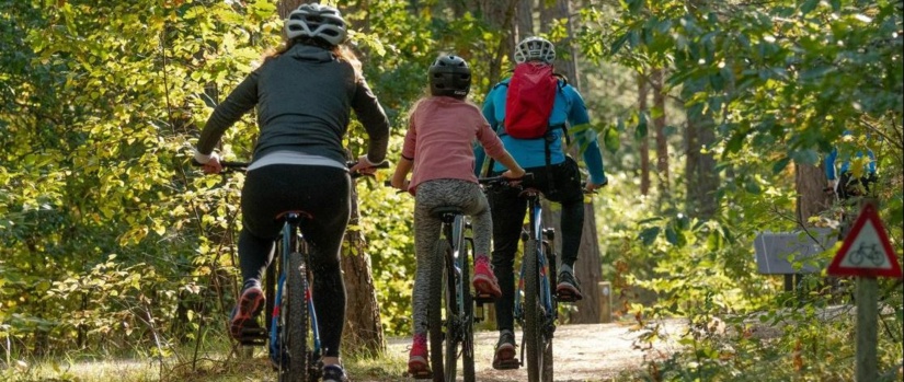 Drei Fahrradfahrer fahren durch den Wald.