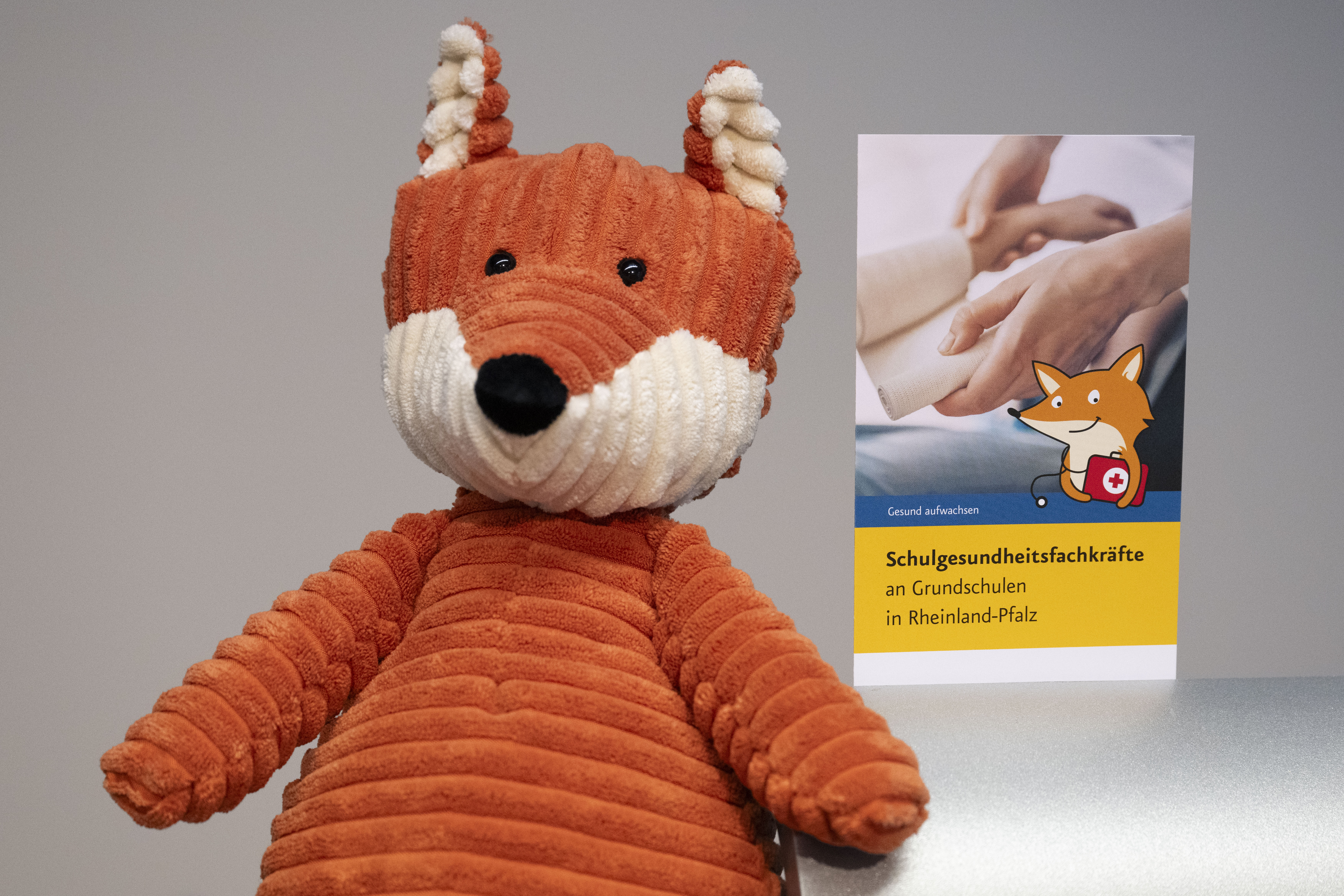 Ein Kuscheltier als Fuchs, im Hintergrund ein Flyer mit dem Titel: Schulgesundheitsfachkräfte an Grundschulen in Rheinland-Pfalz.